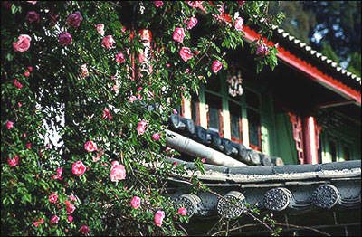 丽江大石桥客栈-阿溢丽江旅游网点评