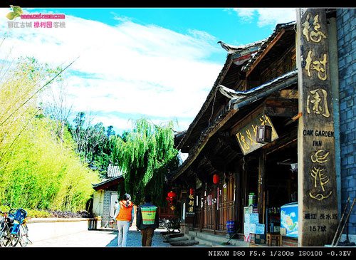 丽江橡树园客栈