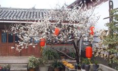 丽江牡丹院客栈