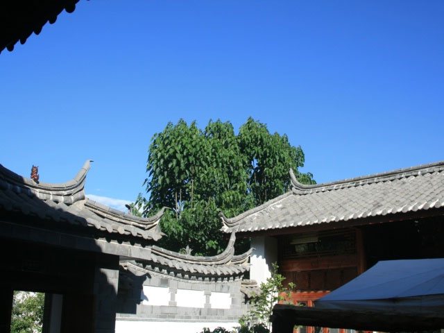 丽江瓦蓝客栈-阿溢丽江旅游网点评