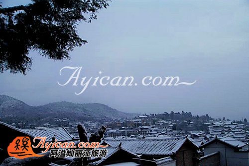 丽江云鹰阁客栈-阿溢丽江旅游网点评