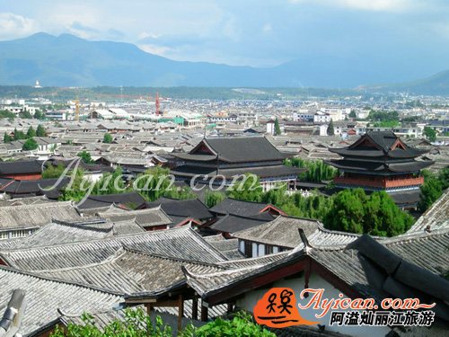 春夏秋冬观景客栈-阿溢丽江旅游网点评