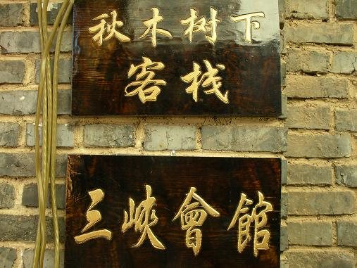 丽江秋木树下客栈-阿溢丽江旅游网点评