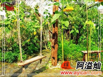 束河飞鸟与鱼客栈