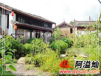 束河飞鸟与鱼客栈
