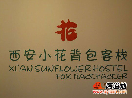 西安小花国际青年旅舍