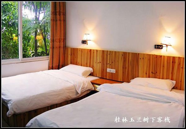 玉兰树下客栈