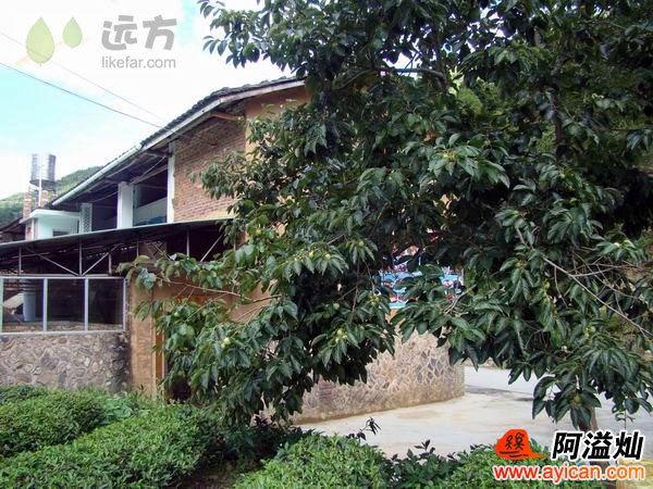福建南靖土楼滴水休闲旅馆