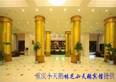 林芝重庆小天鹅宾馆