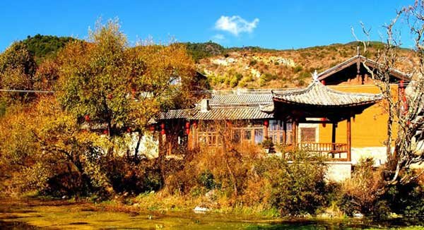 塞拉维