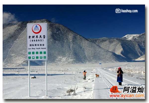香格里拉老谢车马店国际青年旅舍