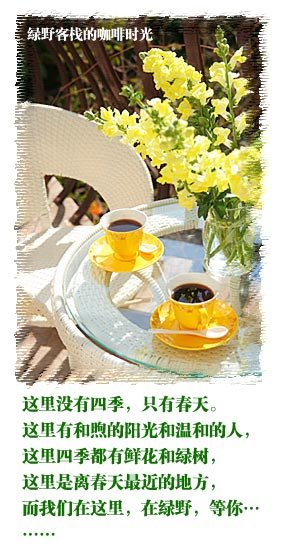 绿野客栈的咖啡时光