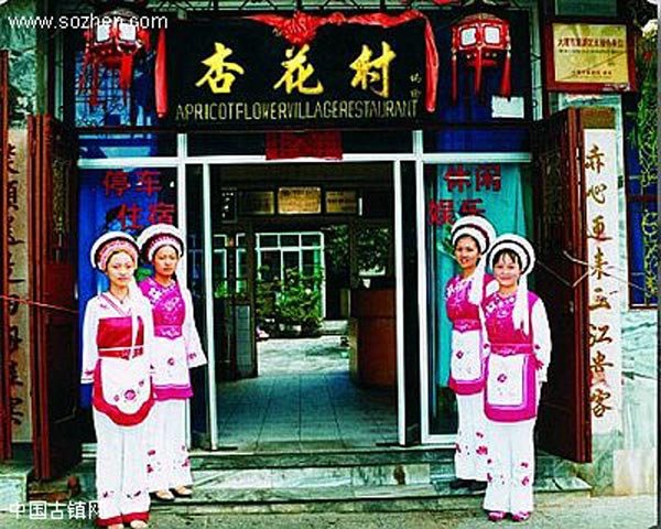 大理杏花村饭店