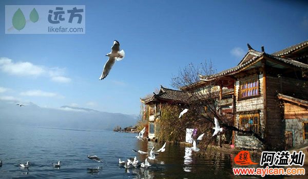 泸沽湖泸望达景观客栈
