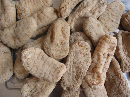 云南昭通三级野生原皮天麻(冬麻)