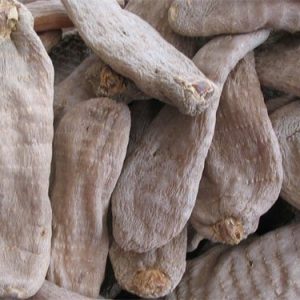 云南昭通特级野生天麻(春麻)