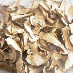 [云南山珍]天然野生白牛肝菌干片A级