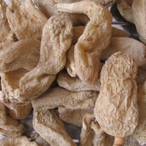 云南昭通二级野生天麻(春麻)