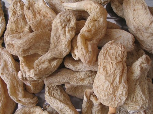 云南昭通二级野生天麻(春麻)