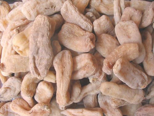 云南昭通野生小天麻(冬麻)