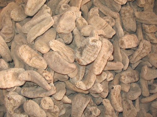 云南昭通野生原皮小天麻(冬麻)