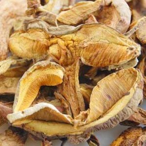 [云南山珍]天然野生黄牛肝菌