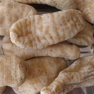 云南昭通一级野生天麻(冬麻 )
