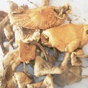 [云南山珍]纯天然野生鸡纵干品